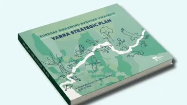 Yarra strategic plan report