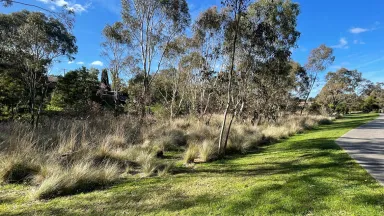 Aitken Creek, image courtesy Hume Council