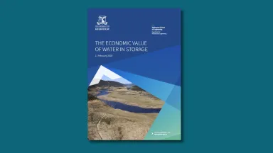 Economic value of water in storage cover