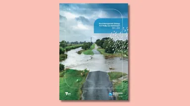 Flood management strategy PP & WP cover