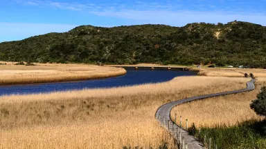 Gelibrand River, image courtesy of Wannon Water