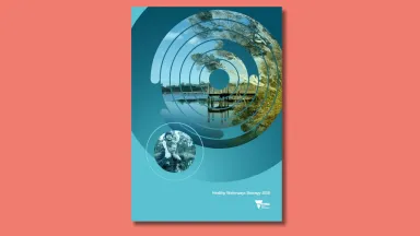 Healthy Waterways Strategy cover