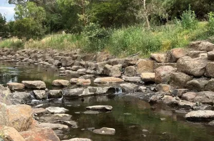 Moonee ponds creek